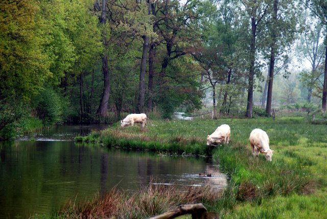 landgoed zevenberg_27